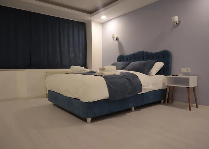 Asia Lees Inn Otel